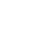 freelance-digital-marketer